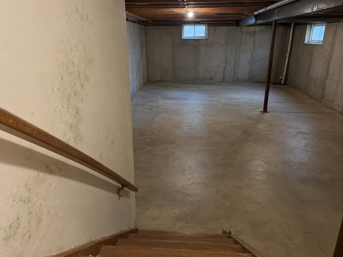 Mould staining on the stairwell wall leading down into a Cincinnati basement