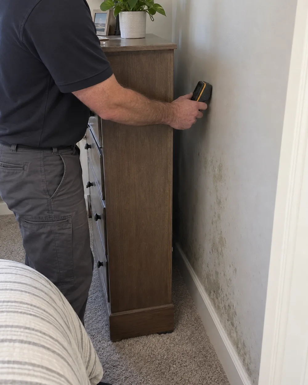 Handheld moisture meter held against damp drywall during a Cincinnati mould test