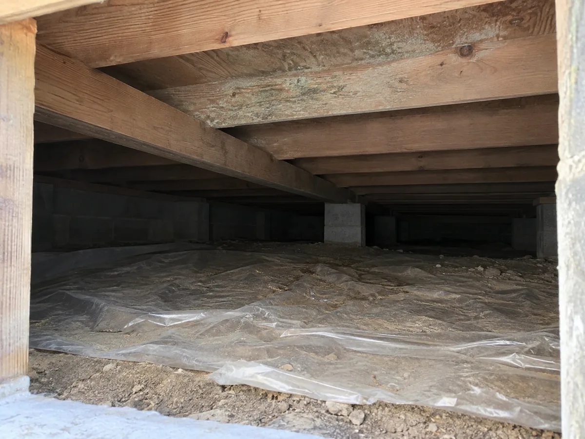 Mould growth across the joists and boarding of a damp Cincinnati crawl space