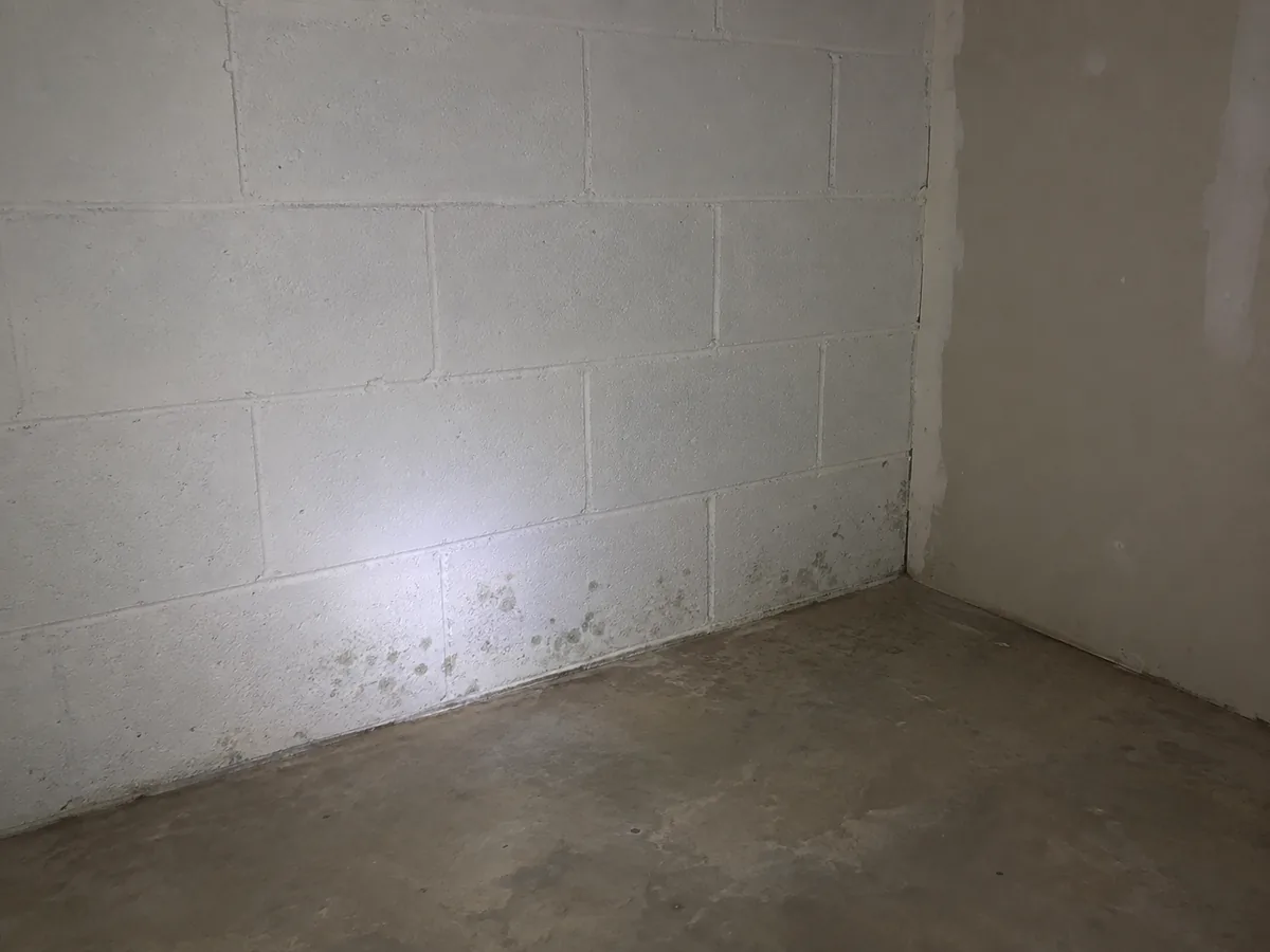 Suspected mould growth on an interior wall being examined during a Cincinnati mould inspection