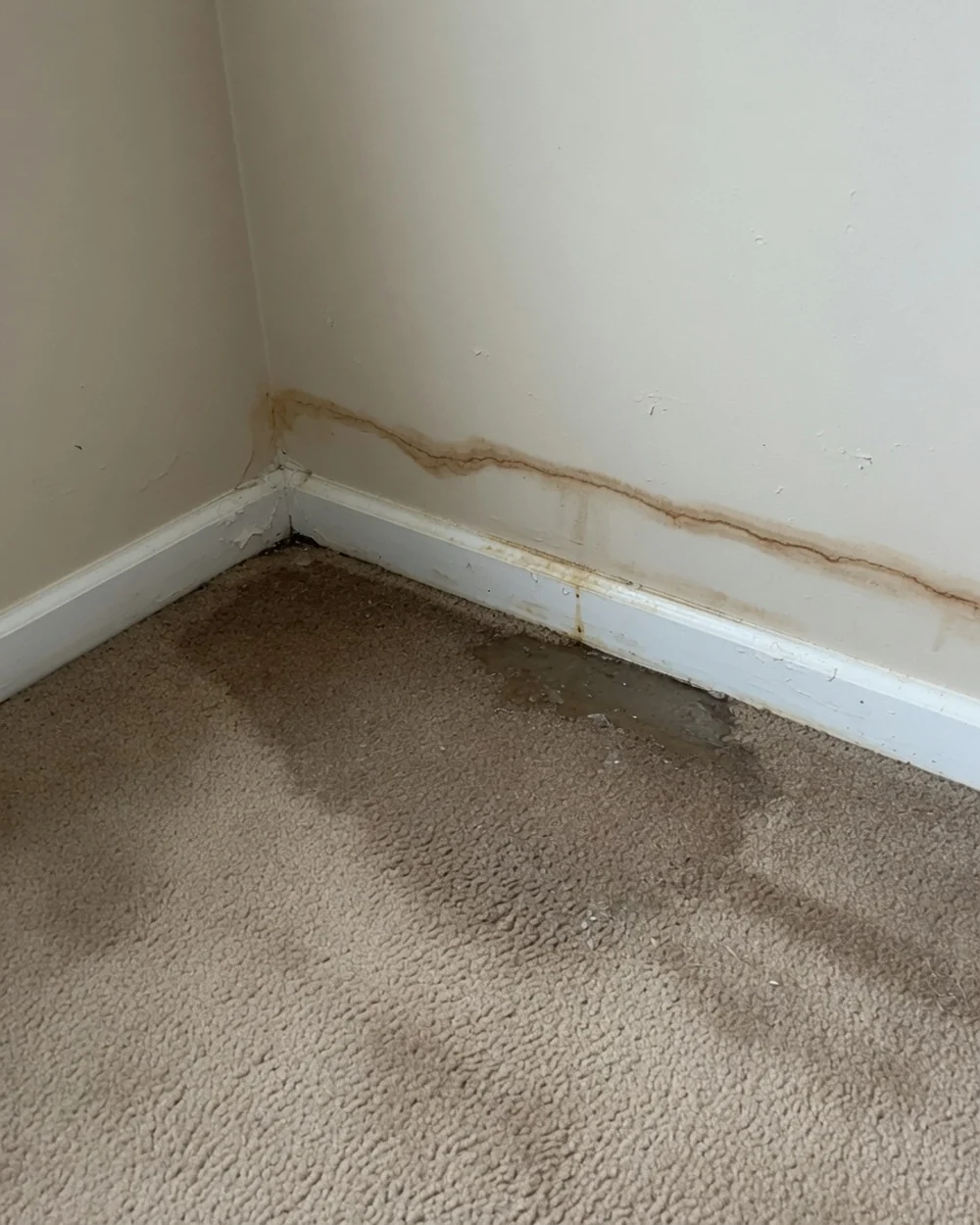 Water-stained skirting board and saturated carpet in the corner of a Cincinnati home