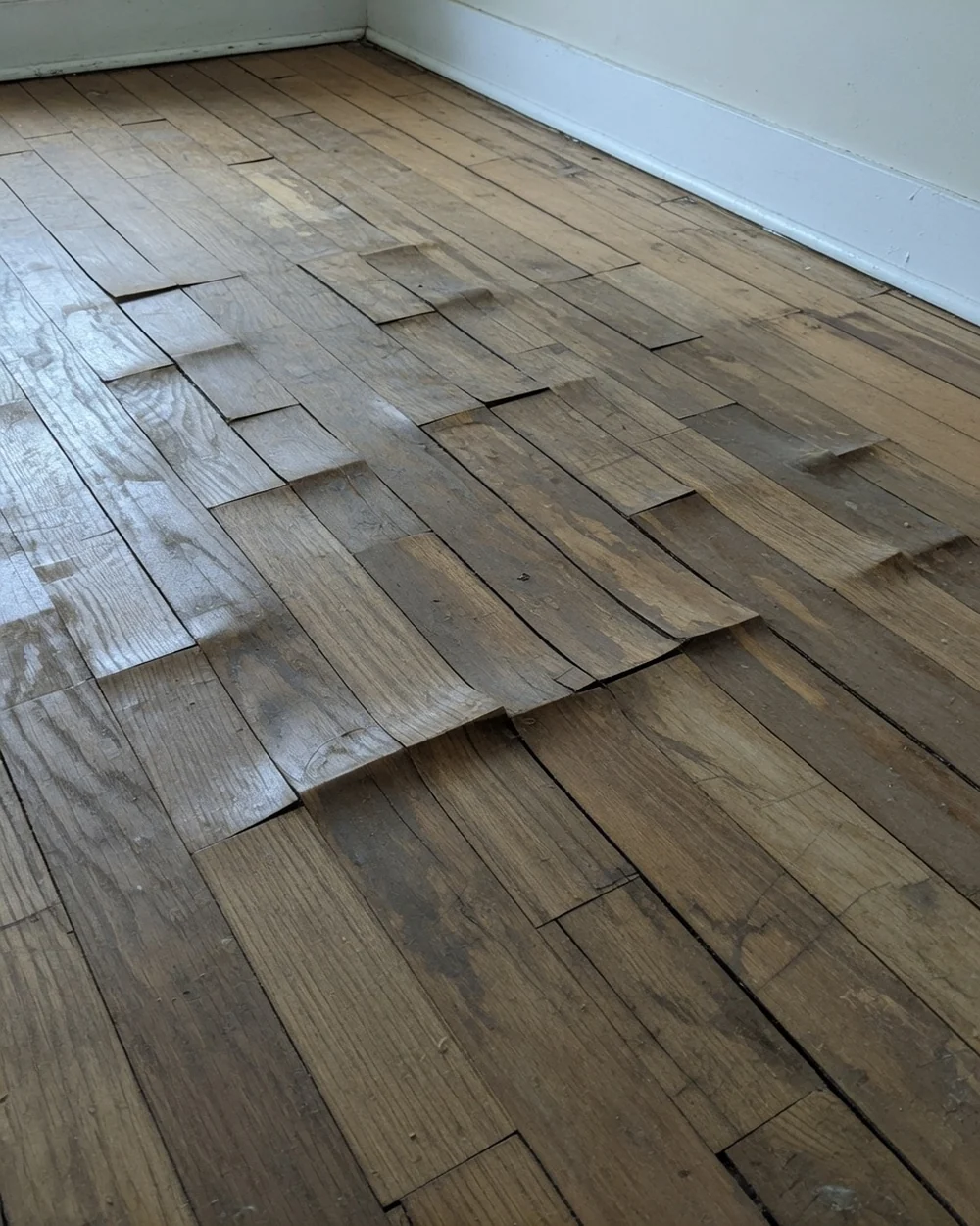 Hardwood floorboards cupped and buckled by water damage in a Cincinnati home